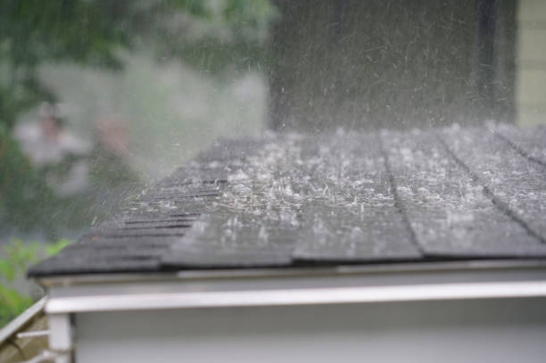 Best Roof Insulation Installation  in Charlestown, MD